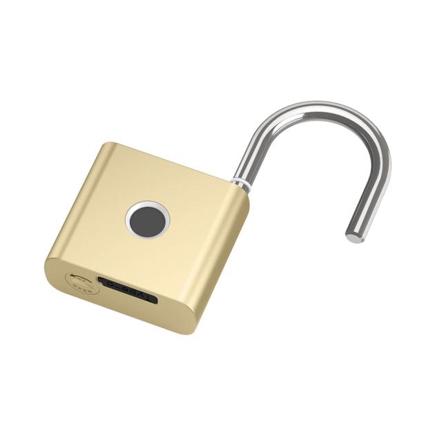 P55 Tuya Smart Padlock With Backup