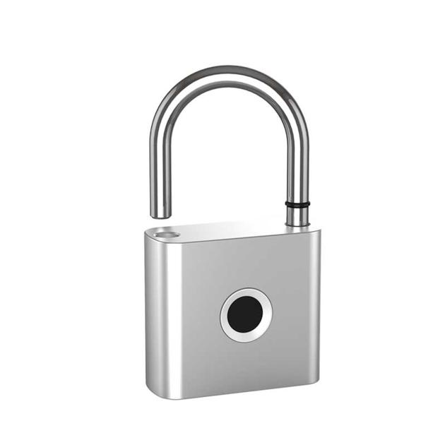 P55 Tuya Smart Padlock with backup Keys