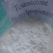 Testosterone Phenylpropionate