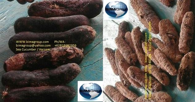Dried Sea Cucumber