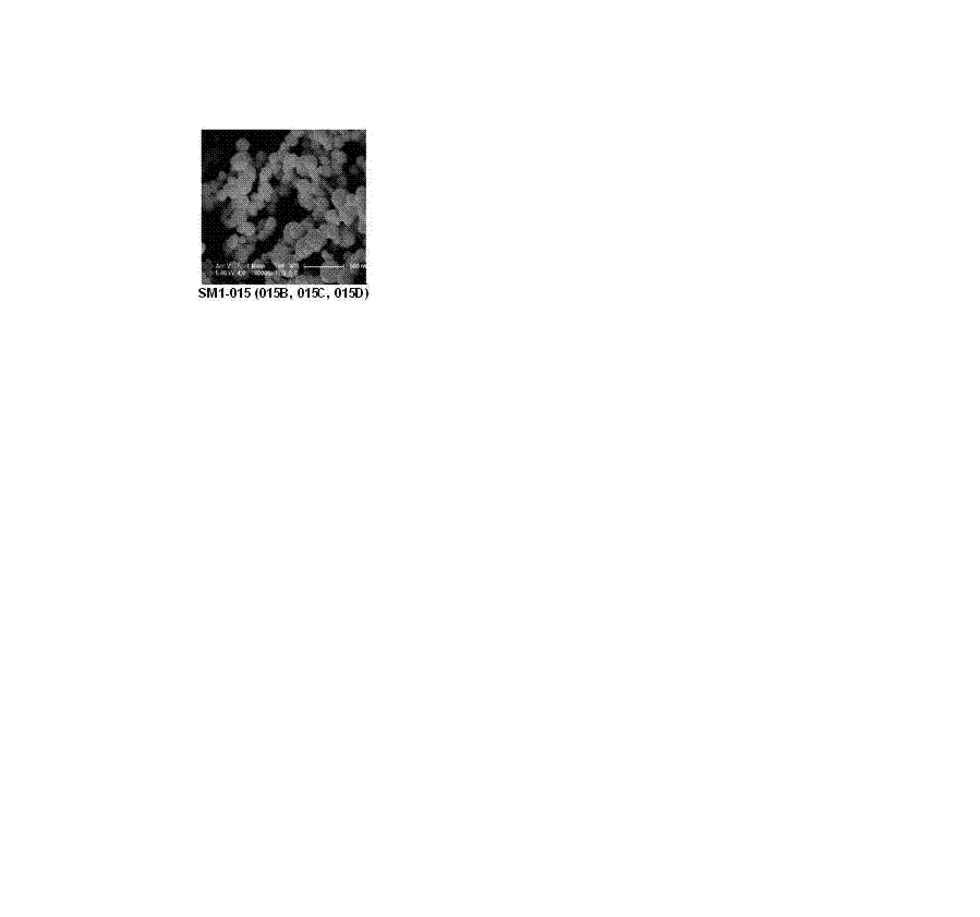magnetic beads for nucleic acid extraction