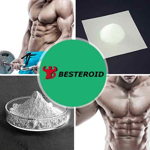 1-Testosterone