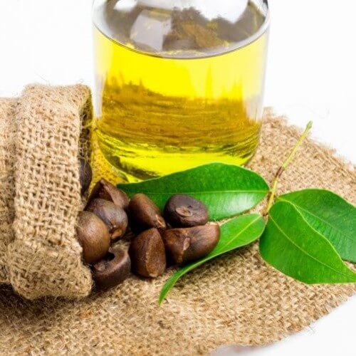 Camellia oleifera seed oil, tea seed oil