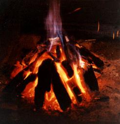 Oak CHARCOAL for BBQ