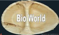 Use and throw Areca plates