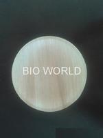 Disposable Fallen Leaf / Areca Leaf plates