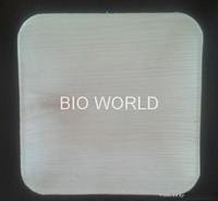 Natural Leaf plates