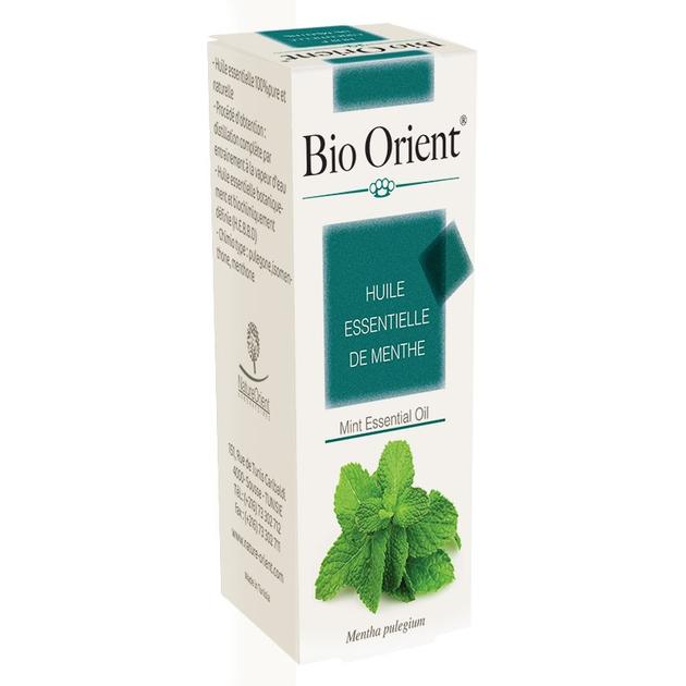 Mint Essential Oil 