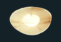 Areca Eco Plates
