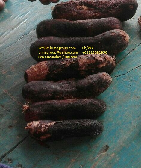 Dried Sea Cucumber
