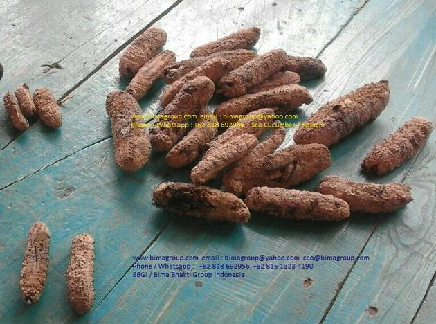 Sea Cucumber Gamat