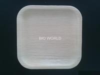 Areca Nut Food Plates