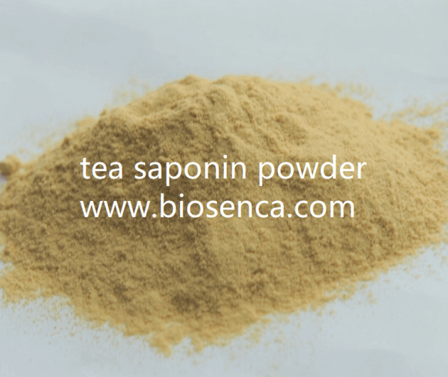 tea saponin powder with 60% saponin for animal feed additive
