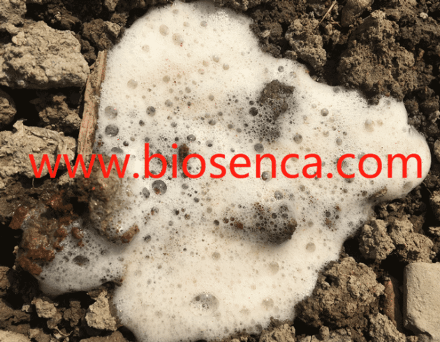 Organic Fertilizer Tea Seed Pellet As