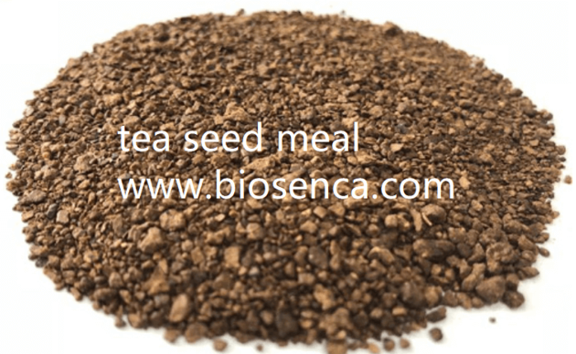 tea seed meal with 15% saponin