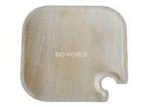 Palm Leaf / Biodegradable Products