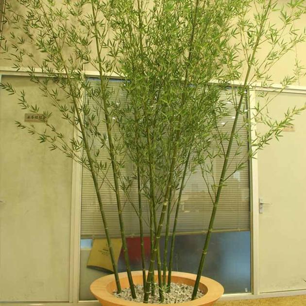 Artificial Bamboo Tree