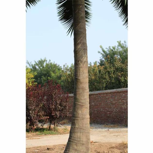 Artificial Coconut Tree