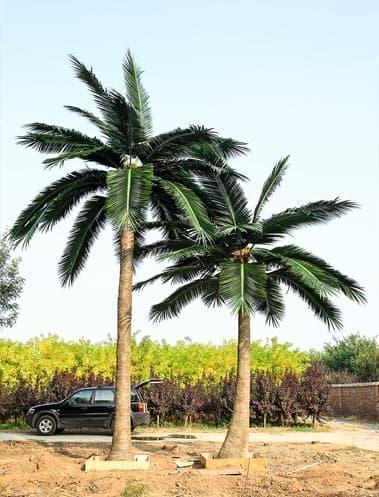 Artificial Coconut Tree