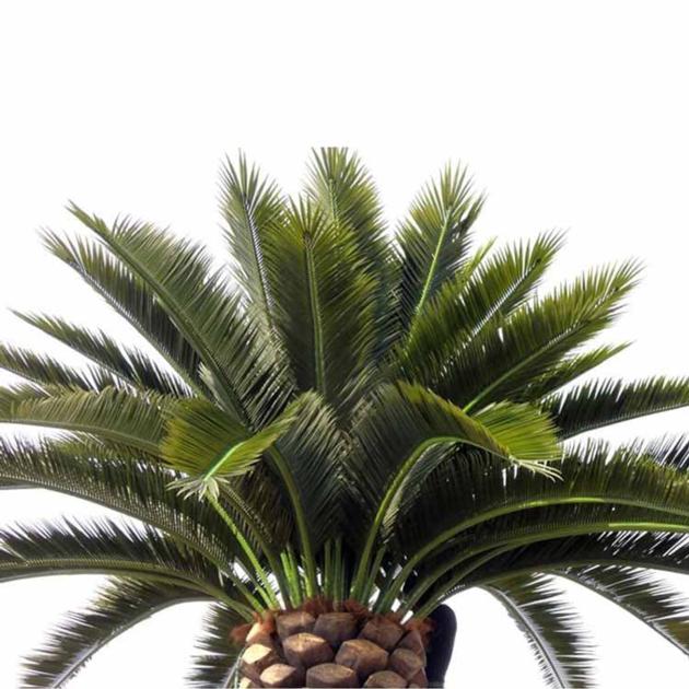 Artificial Date Palm