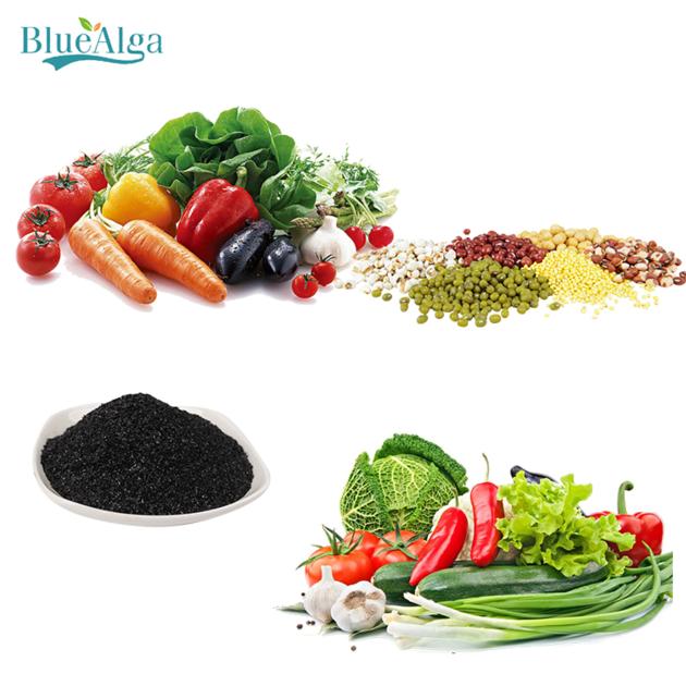 100 Pure And Organic Fertilizer Factory