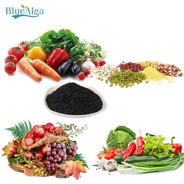 Bio Organic Flake Natural Plant Hormone