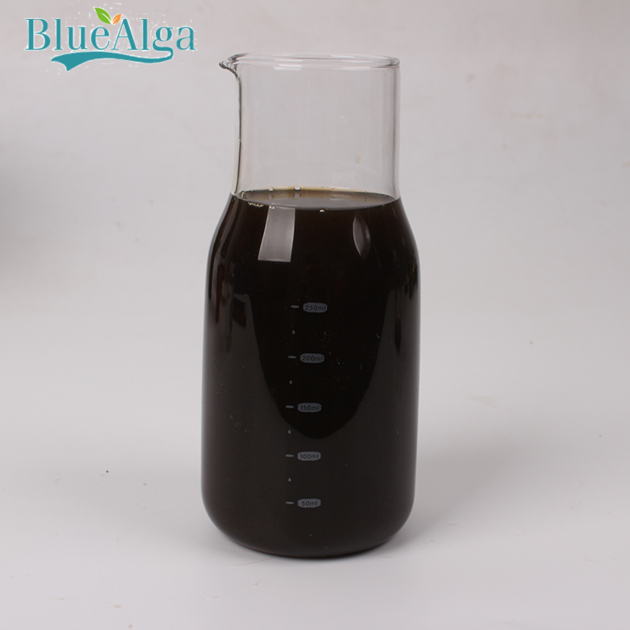 Factory direct sales quality assurance seaweed extract liquid