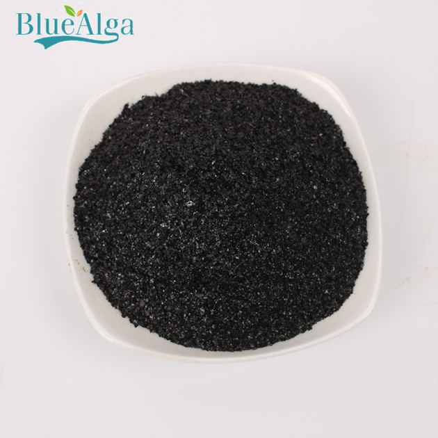 Bio organic flake natural plant hormone seaweed extract fertilizer
