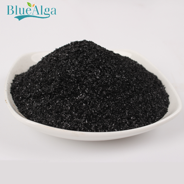 100% pure and organic fertilizer factory price seaweed extract fertilizer