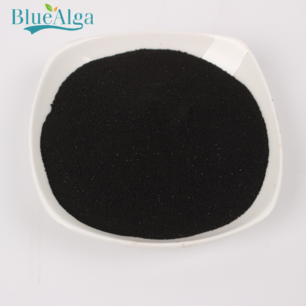 Agricultural fertilizer raw materials can be long term order seaweed extract fertilizer powder