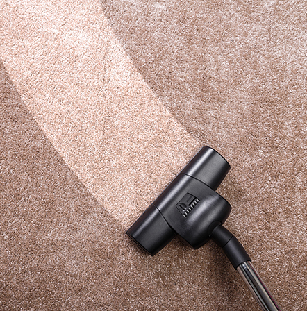 CARPET FABRIC