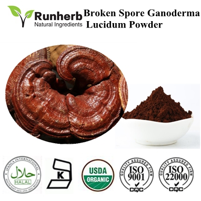 Psyllium Husk Extract