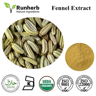 Cinnamon Extract