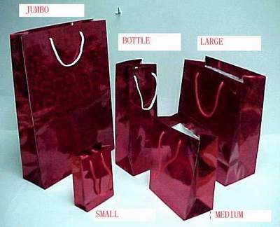 Hologram paper bag in 5 different size