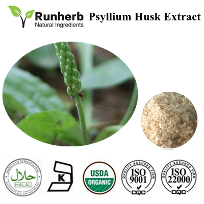 Psyllium Husk Extract 