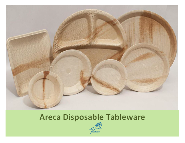Areca Leaf Eco friendly Disposable Tableware Cutlery 