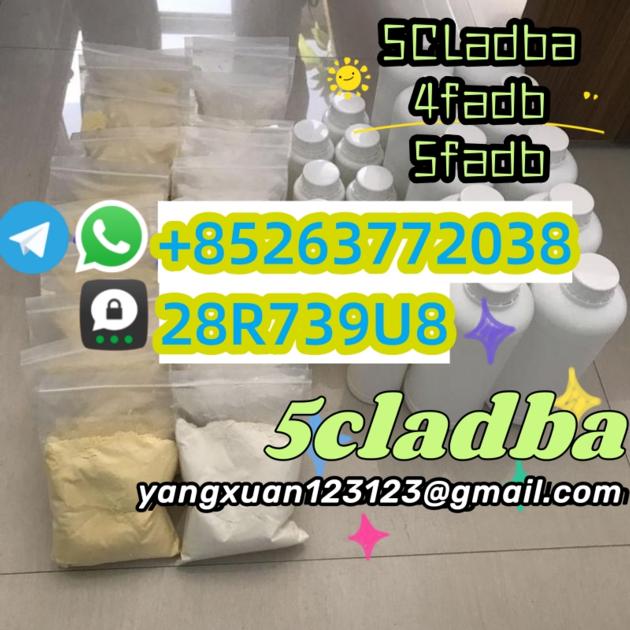 5CL ADB Supplier 5cladba 5cladb Vendor