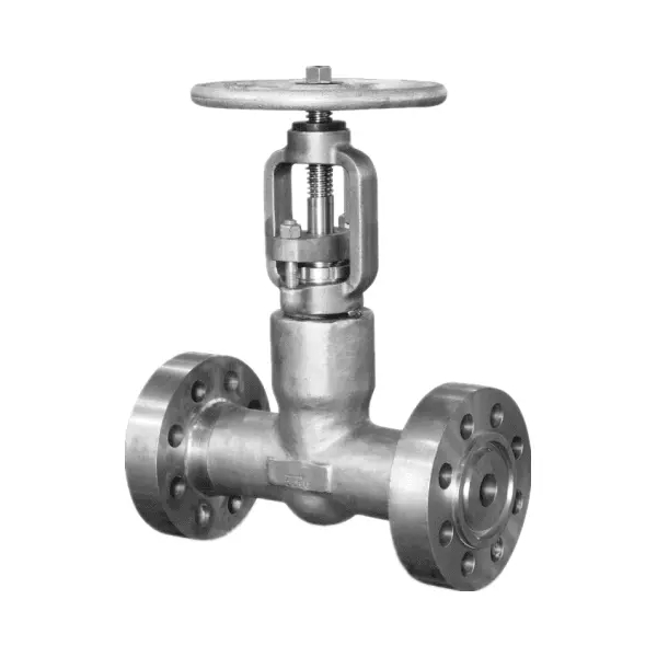 ASTM A182 F304 Globe Valve