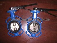Universal Flange Wafer Butterfly Valve