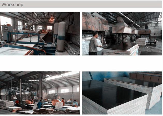 Shuttering Plywood