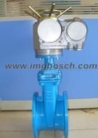 Electric Gate valve
