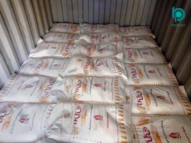 High Protein Wheat Flour IKKA Brand