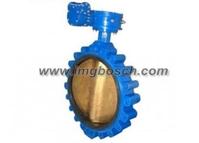 Lug Type Butterfly Valve
