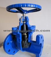 BS 5163 Non-rising Stem Seated Gate Valve