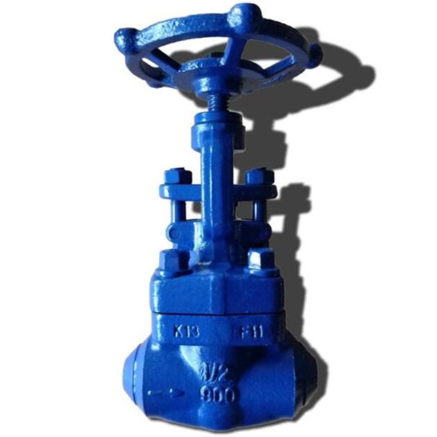 A182 F11 Forged Globe Valve,900LB,1/2 Inch,BW End