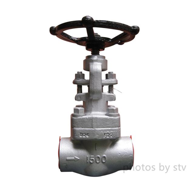 Forged Gate Valve A105 Body DN20