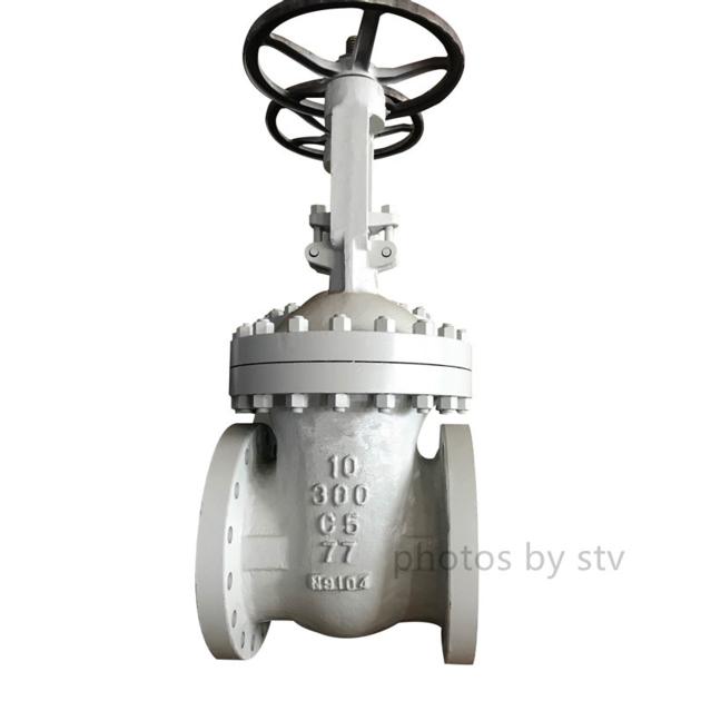 Cast Steel Gate Valve 600LB 3