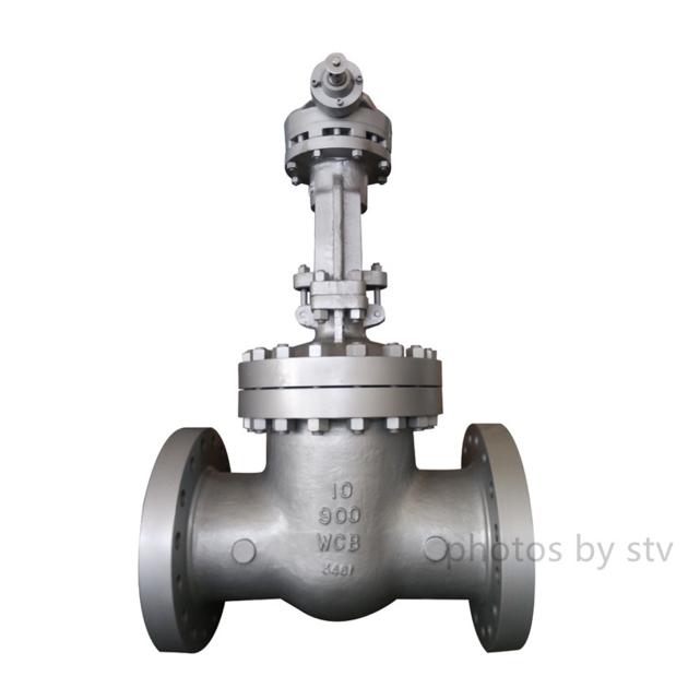 Cast Steel Gate Valve 600LB 3