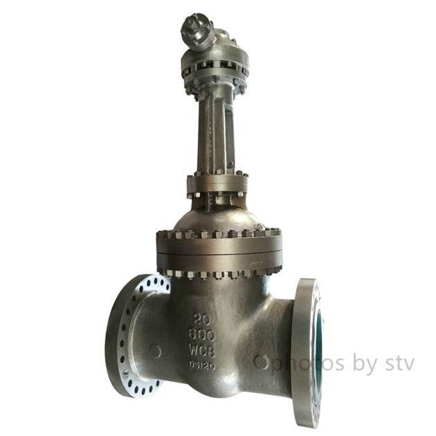 Cast Steel Gate Valve 600LB 3