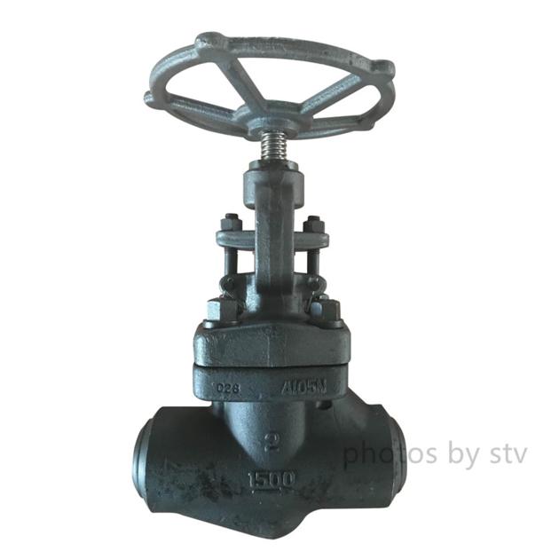 A182 F11 Forged Globe Valve 900LB